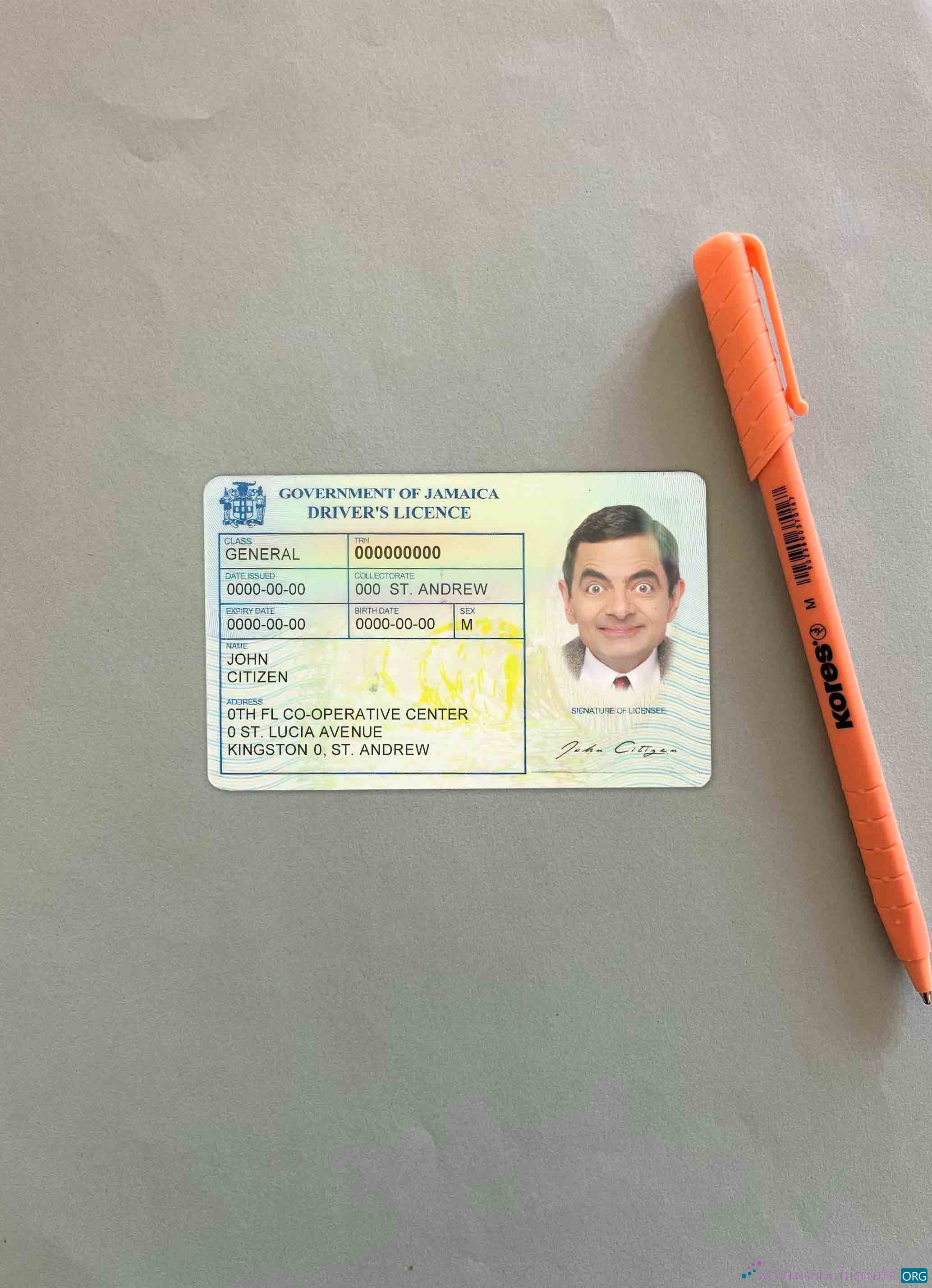 Download Jamaica DL photolook FRONT Photoshop template